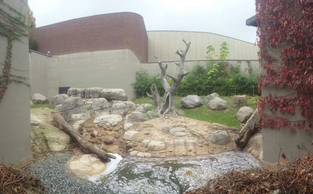 Oct. 2013 - Primate, Cat, + Aquatics - Gorilla Exhibit (Front View)