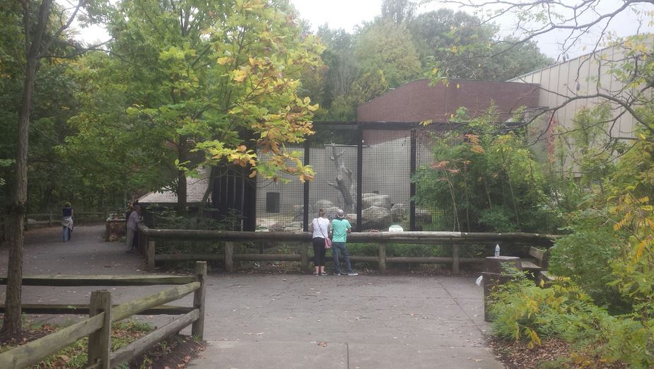 Oct. 2013 - Primate, Cat + Aquatics - Gorilla Exhibit Viewing Area