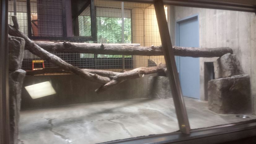 Oct. 2013 - Primate, Cat + Aquatics - Second Snow Leopard Exhibit