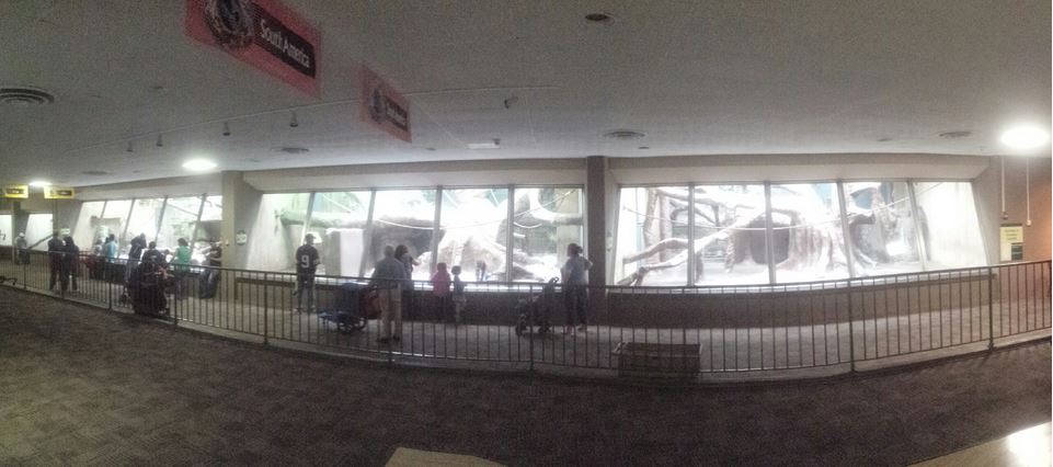 Oct. 2013 - Primate, Cat + Aquatics - Three Mandrill Exhibits