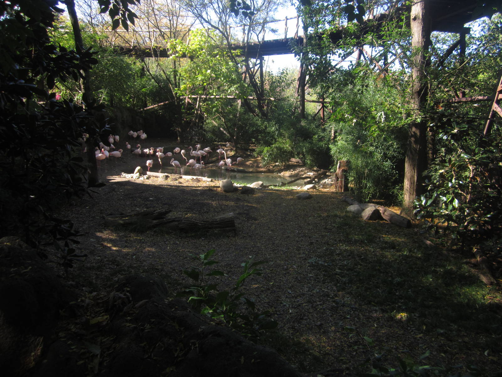 Oct. 2013 - Rhino Reserve - Flamingo Cove