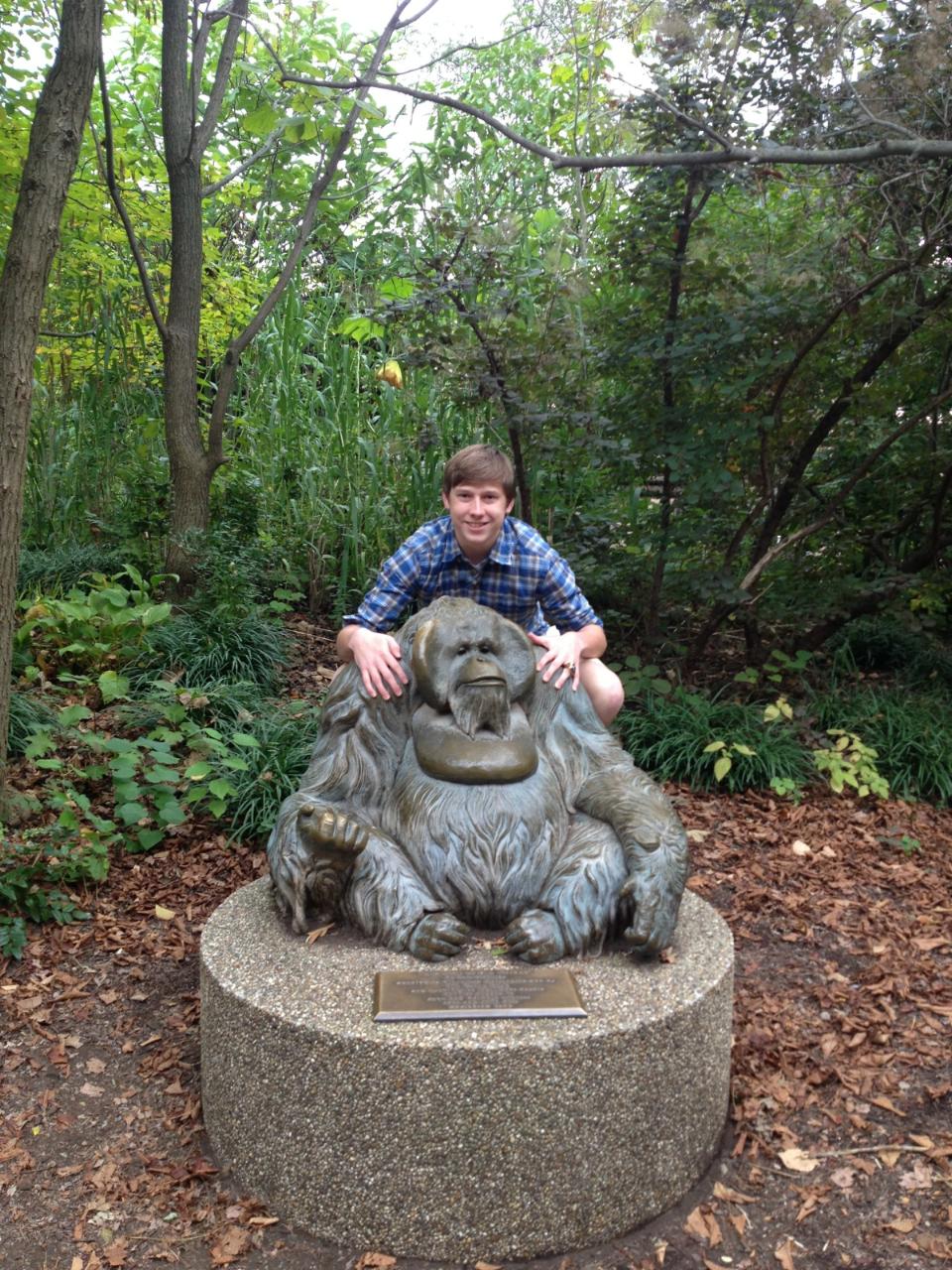 Oct. 2013 - The Old Man of the Forest... and not an old man