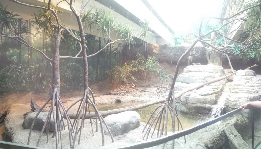 Oct. 2013 - The RainForest - Asian Small-clawed Otter Exhibit (Left Side)