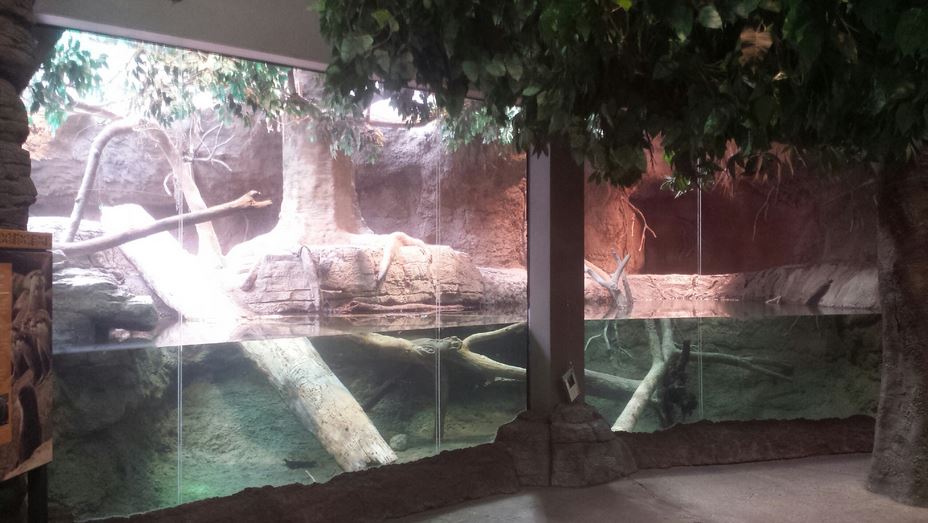 Oct. 2013 - The RainForest - Asian Small-clawed Otter Exhibit (Right Side)