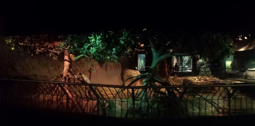 Oct. 2013 - The RainForest - Lower Forest Simulated Thunderstorm Exhibit (A