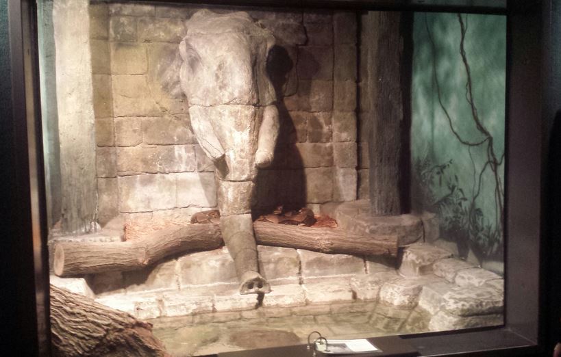 Oct. 2013 - The RainForest - Reticulated Python Exhibit