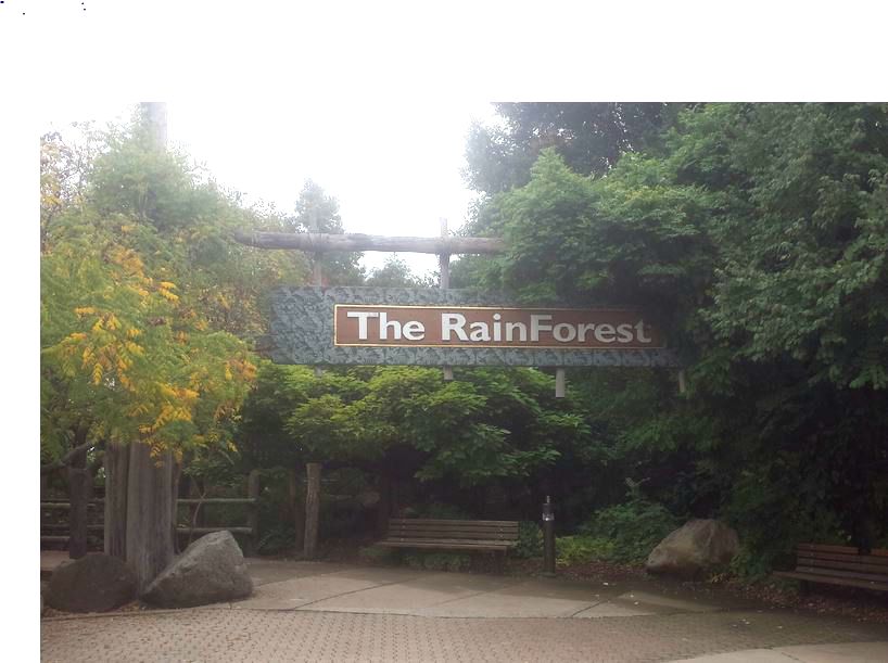 Oct. 2013 - The RainForest - Trail Entrance