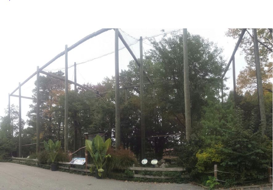 Oct. 2013 - Waterfowl Lake - Birds of Prey