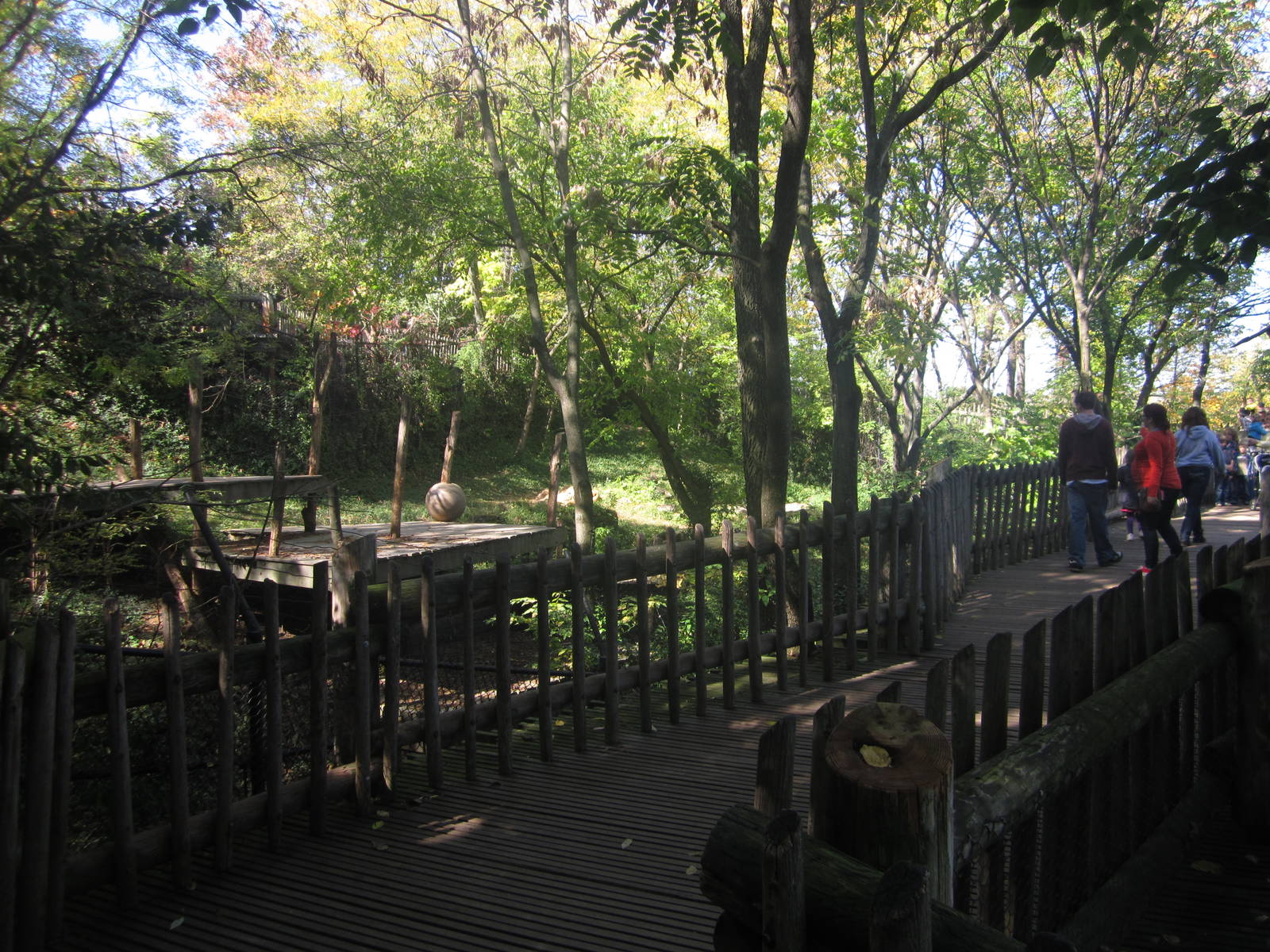 Oct. 2013 - White Lions of Timbavati Exhibit + Viewing