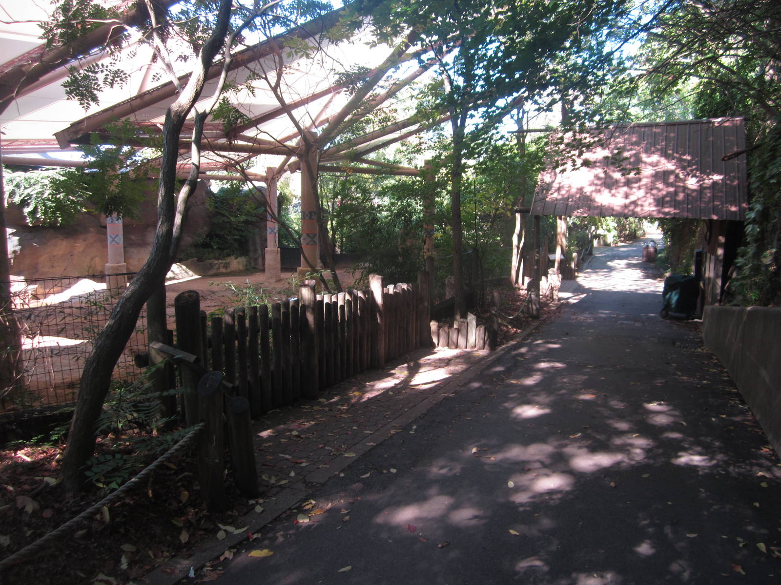Oct. 2013 - Wildlife Canyon - Sumatran Rhinoceros Main Exhibit - Viewing