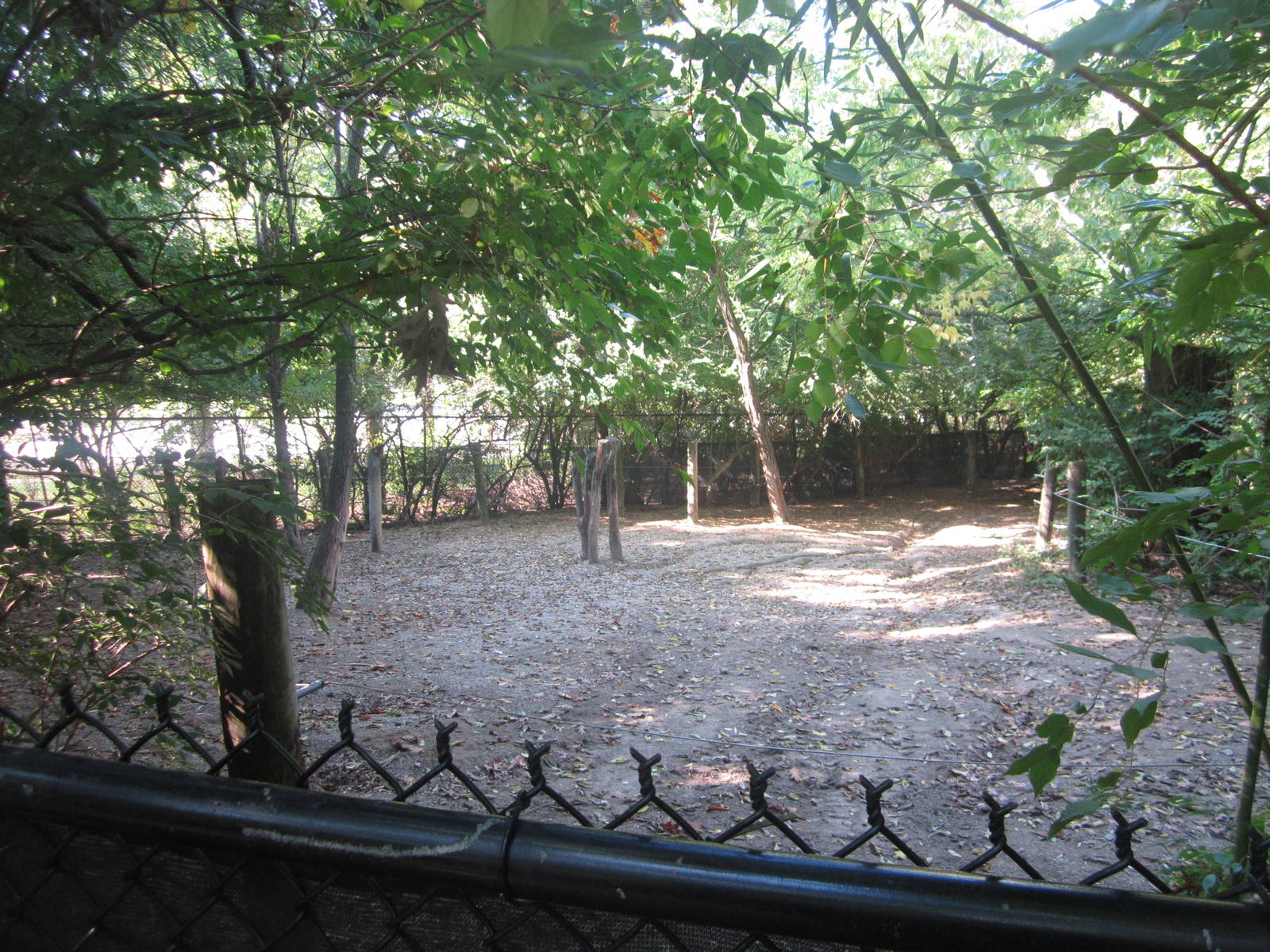 Oct. 2013 - Wildlife Canyon - Sumatran Rhinoceros Private Yard