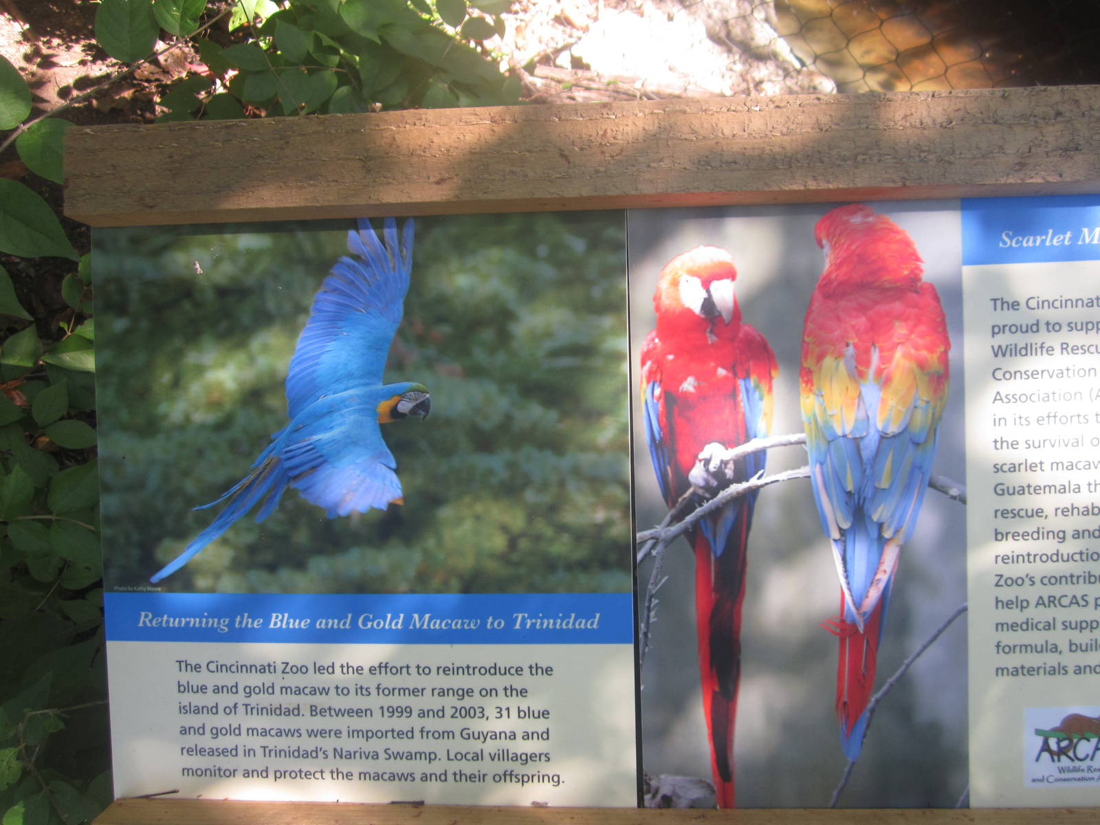 Oct. 2013 - Wings of the World - New Macaw Sign