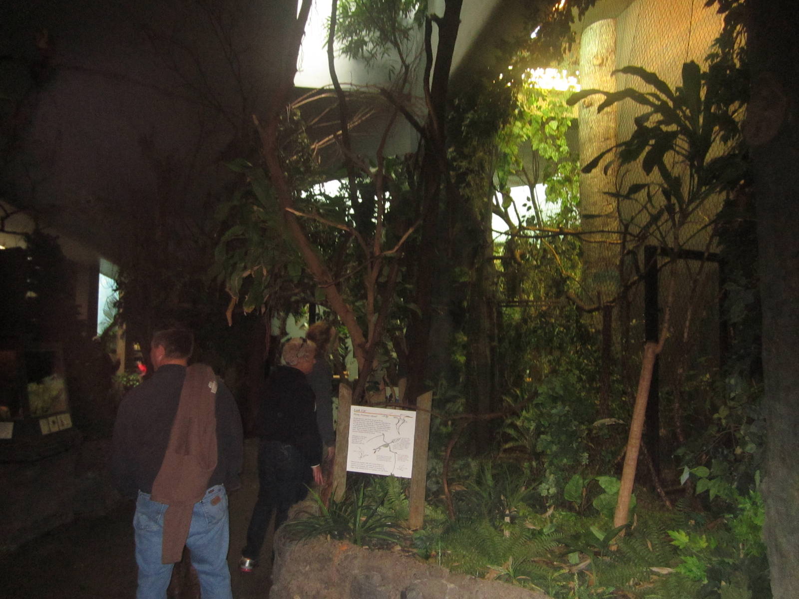 Oct. 2013 - Wings of the World