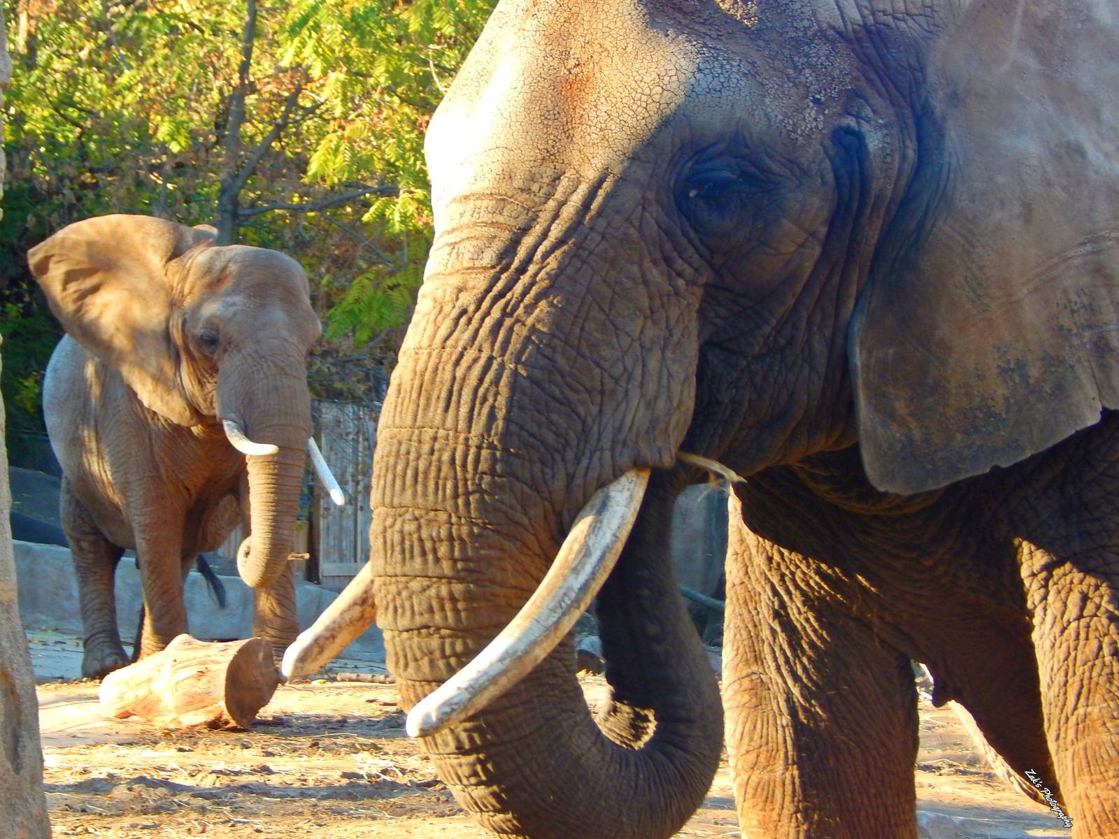 Oct. 2014 - Africa-Asia-South America - Brittany and Ruth