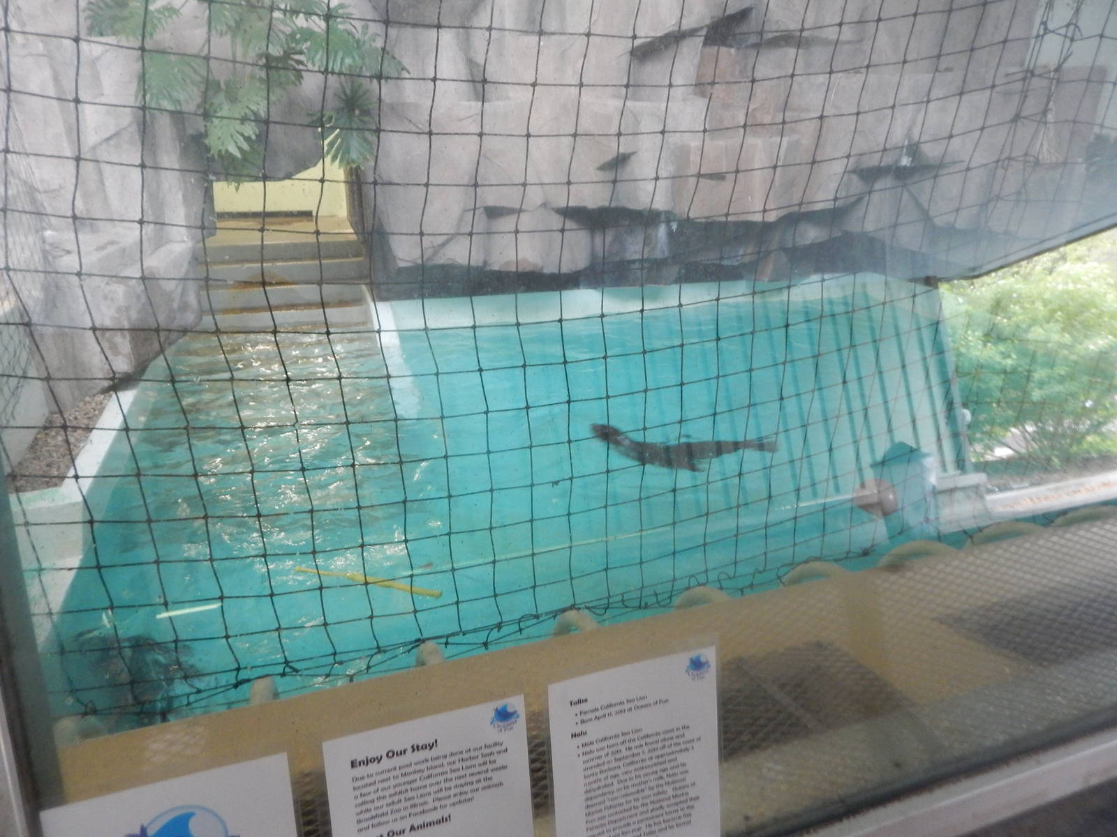 Oct. 2014 - Africa-Asia-South America - Oceans of Fun Winter Exhibit