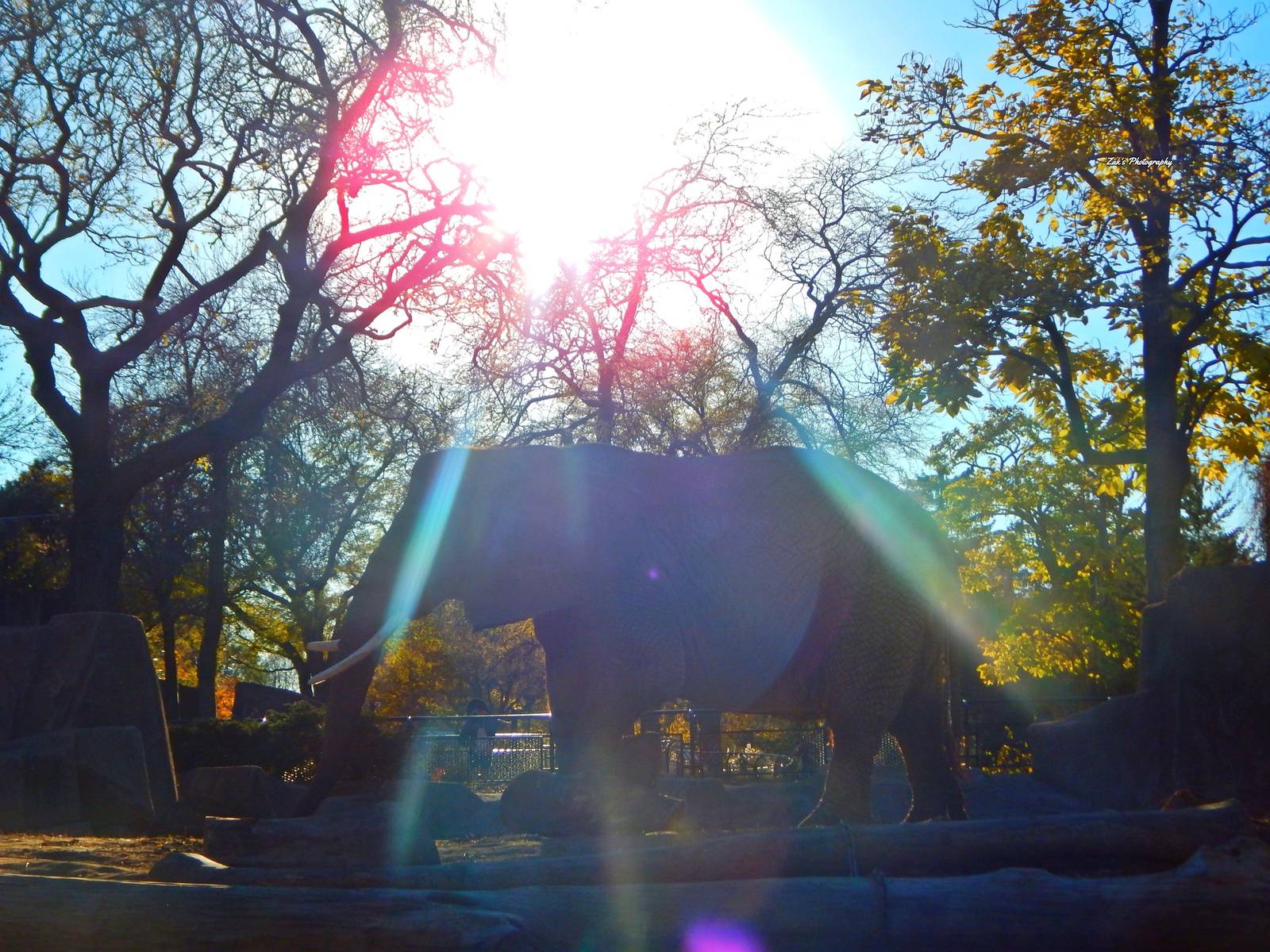 Oct. 2014 - Africa-Asia-South America - Ruth