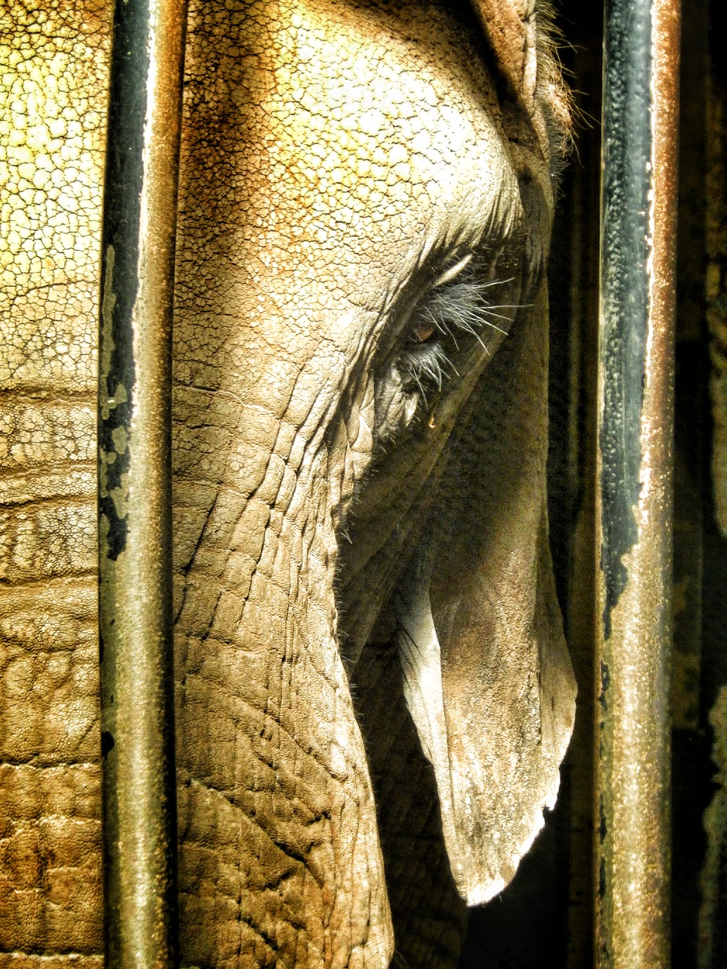 Oct. 2014 - Africa-Asia-South America - Ruth