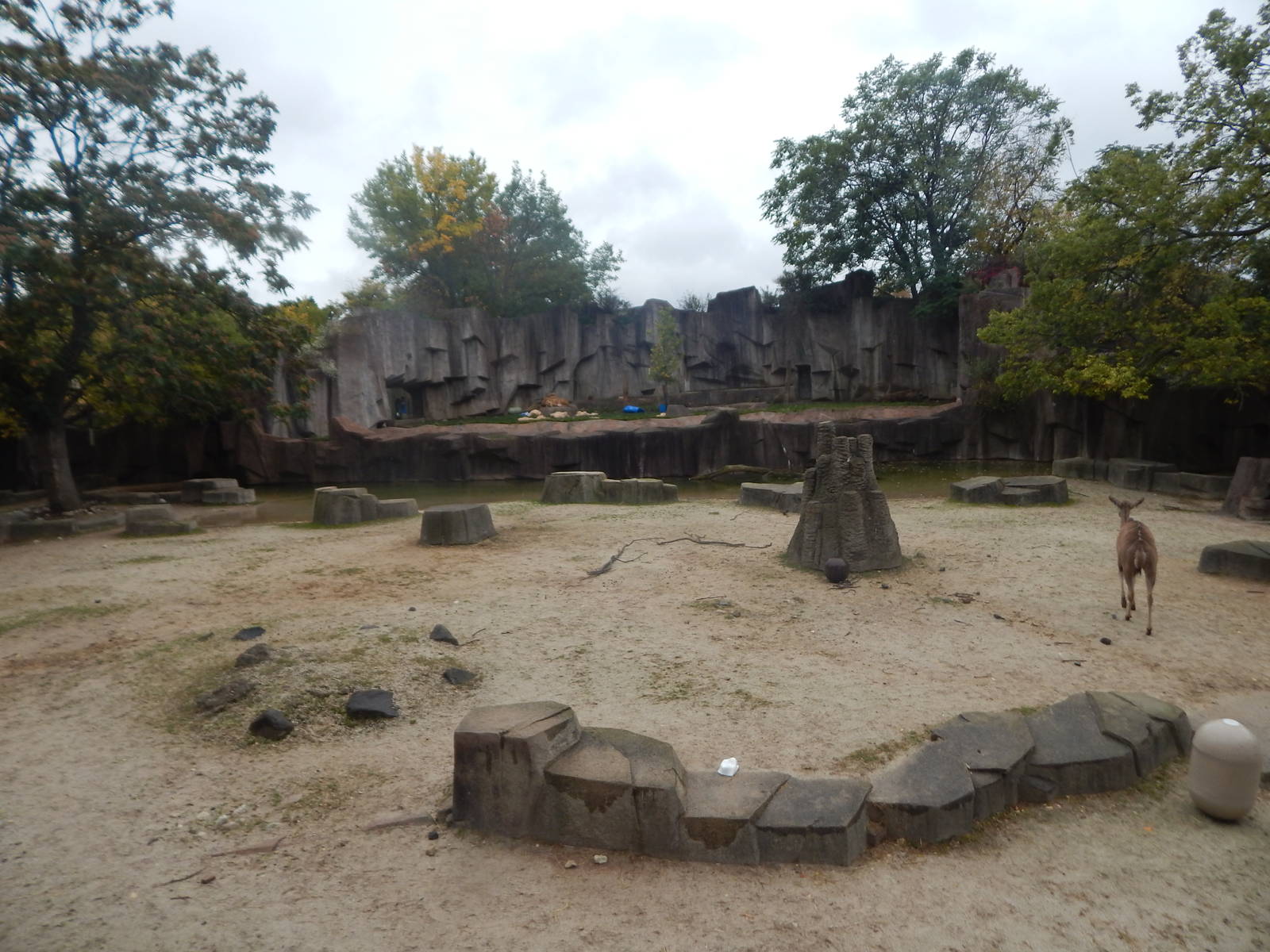 Oct. 2014 - Africa-Asia-South American - African Waterhole + Lion Exhibit (