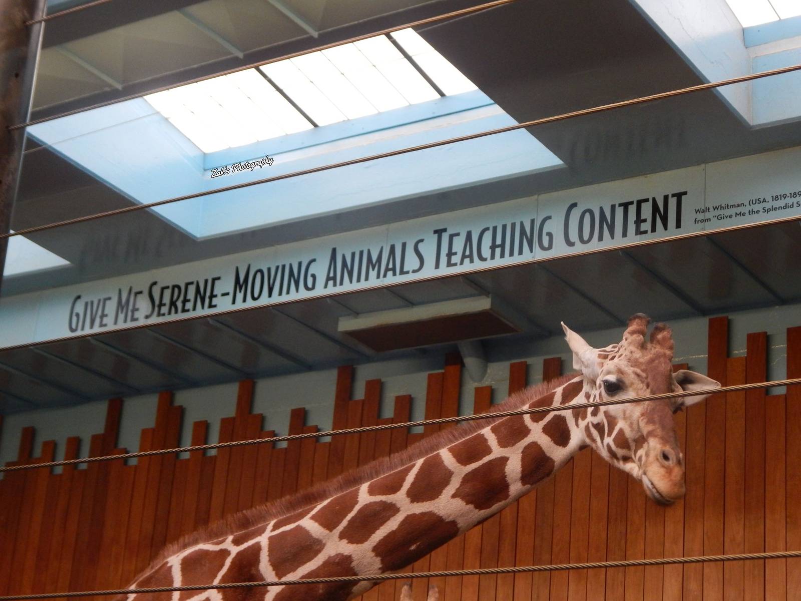 Oct. 2014 - Africa-Asia-South American - Giraffe Experience