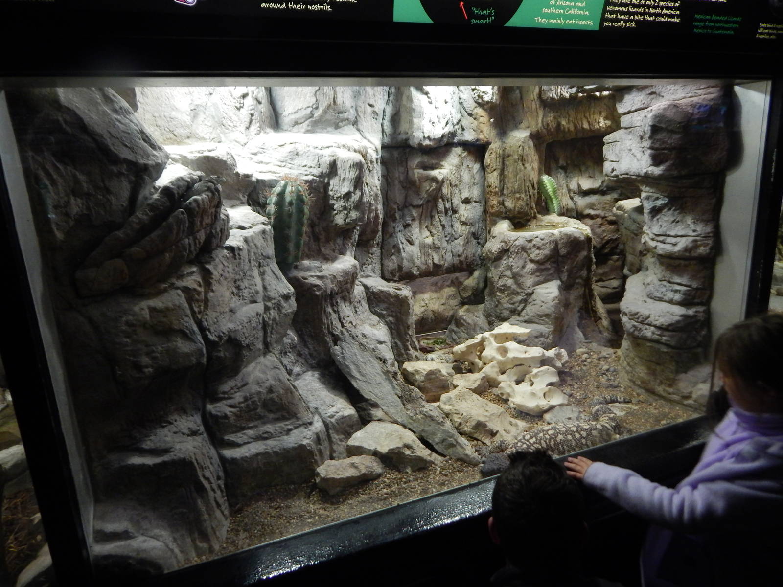 Oct. 2014 - Aquatic + Reptile Center - Exhibit for 3 Species