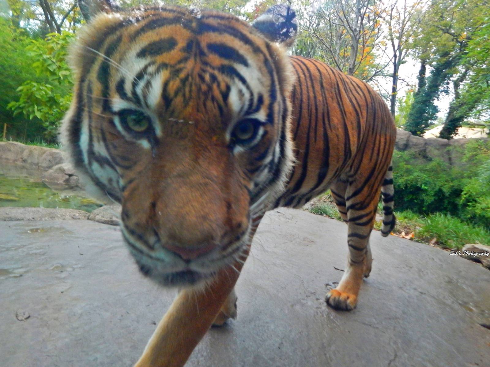 Oct. 2014 - Cat Canyon - Who Dey