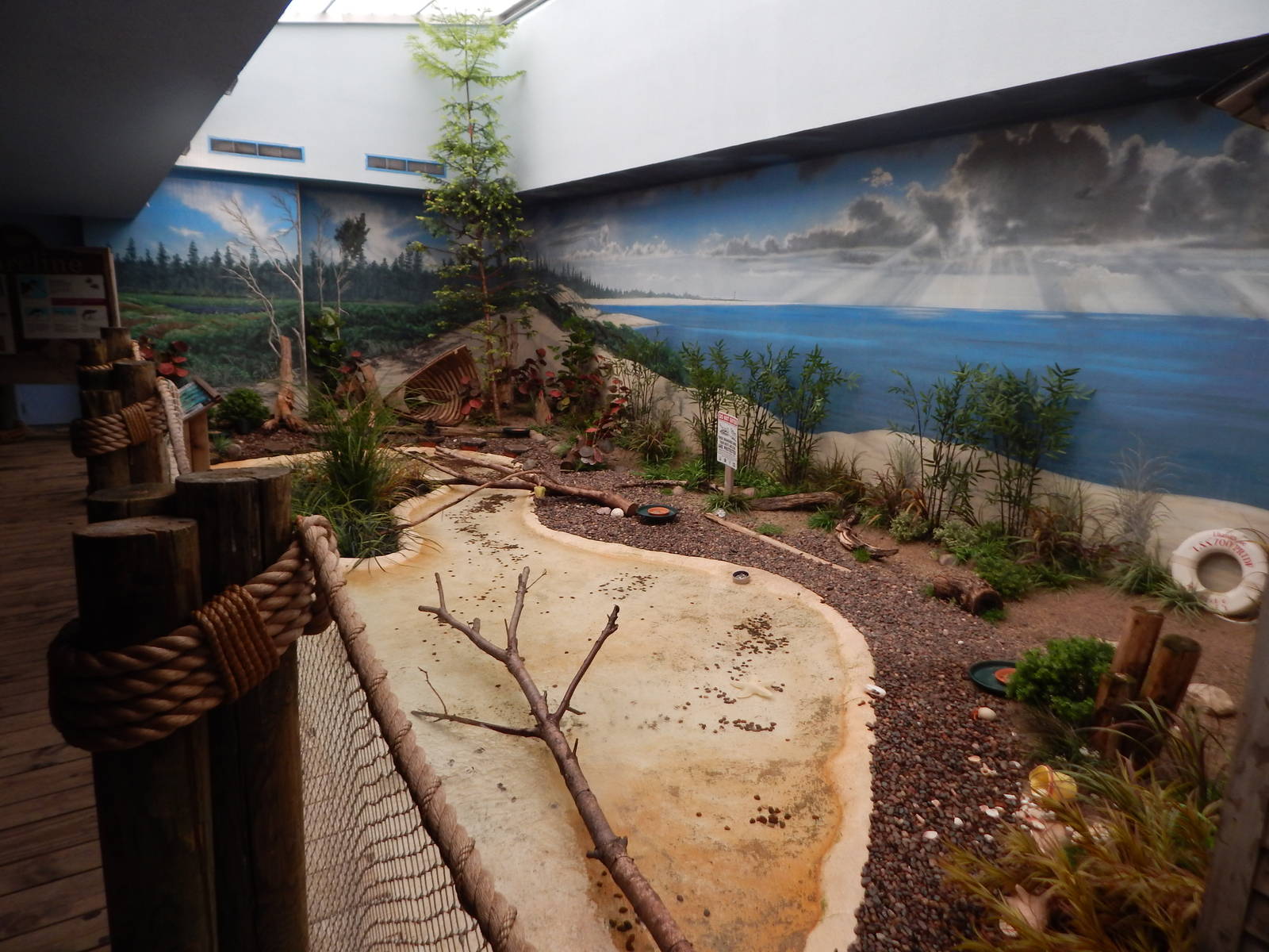 Oct. 2014 - Mahler Family Aviary - Shorebirds Exhibit (5 Species)