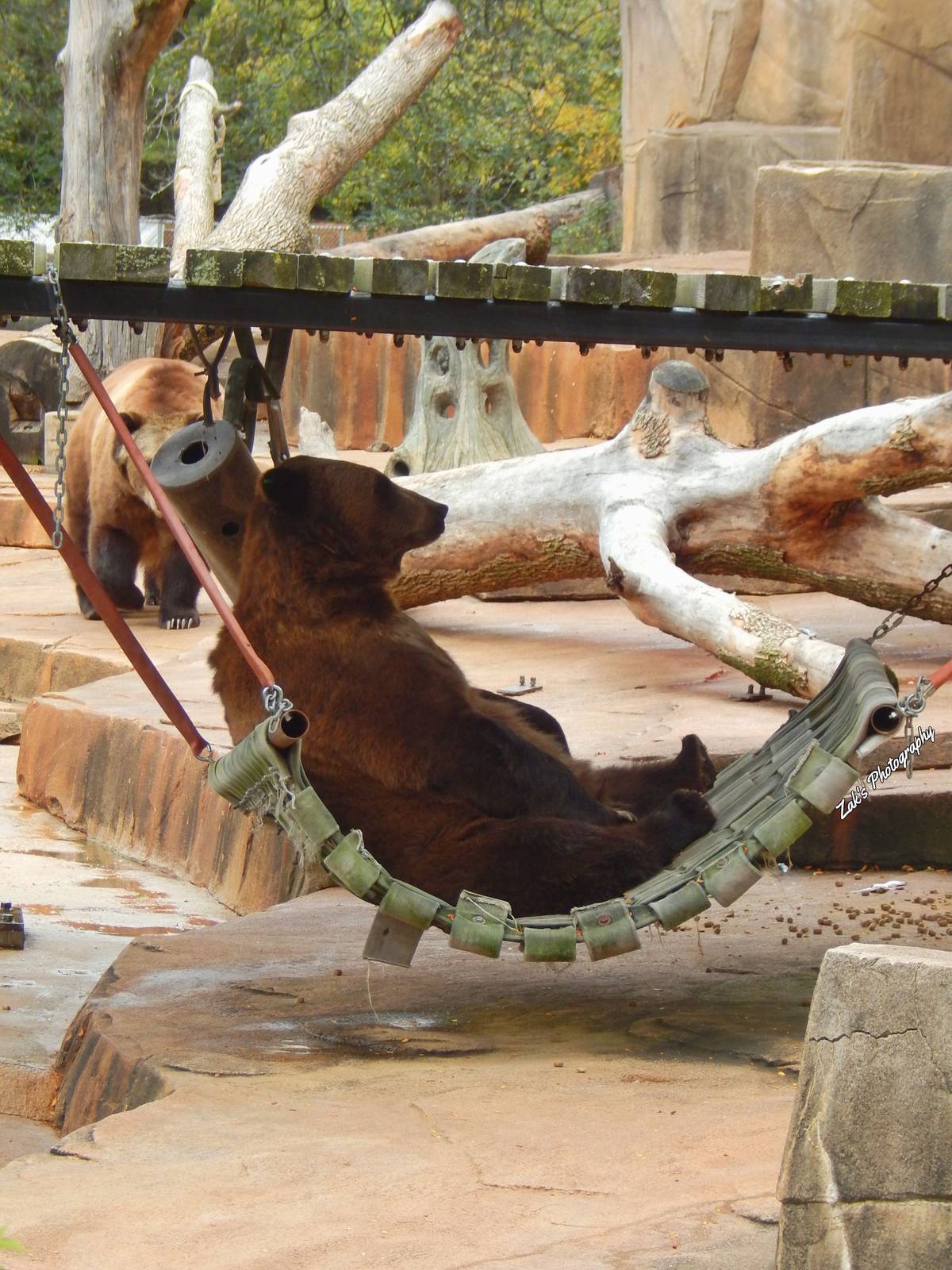 Oct. 2014 - North America - Grizzly Bear Lounge