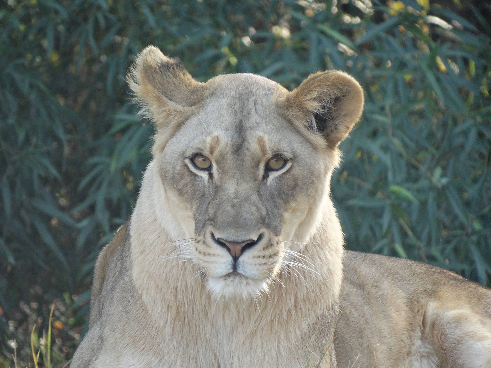 Oct. 2015 - Africa - Imani