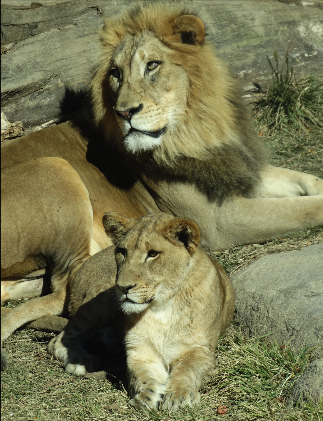 Oct. 2015 - Africa - John and Daughter