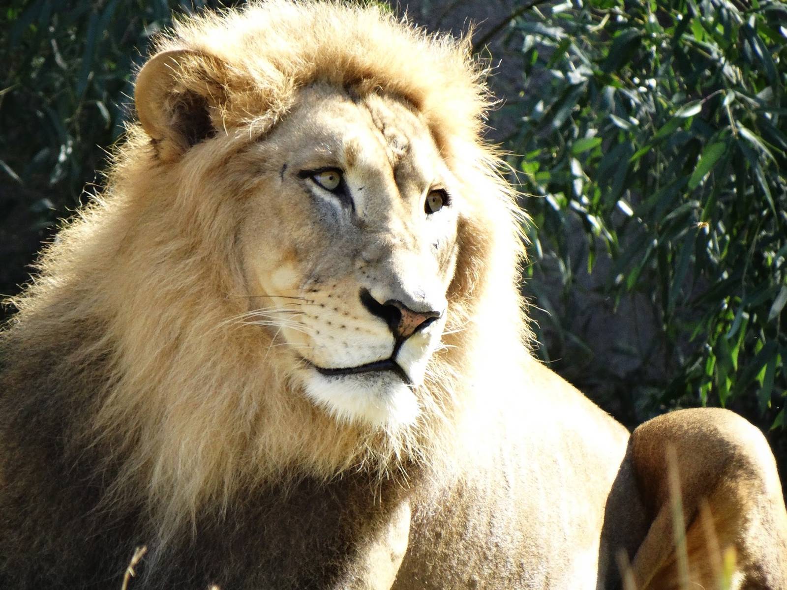 Oct. 2015 - Africa - John