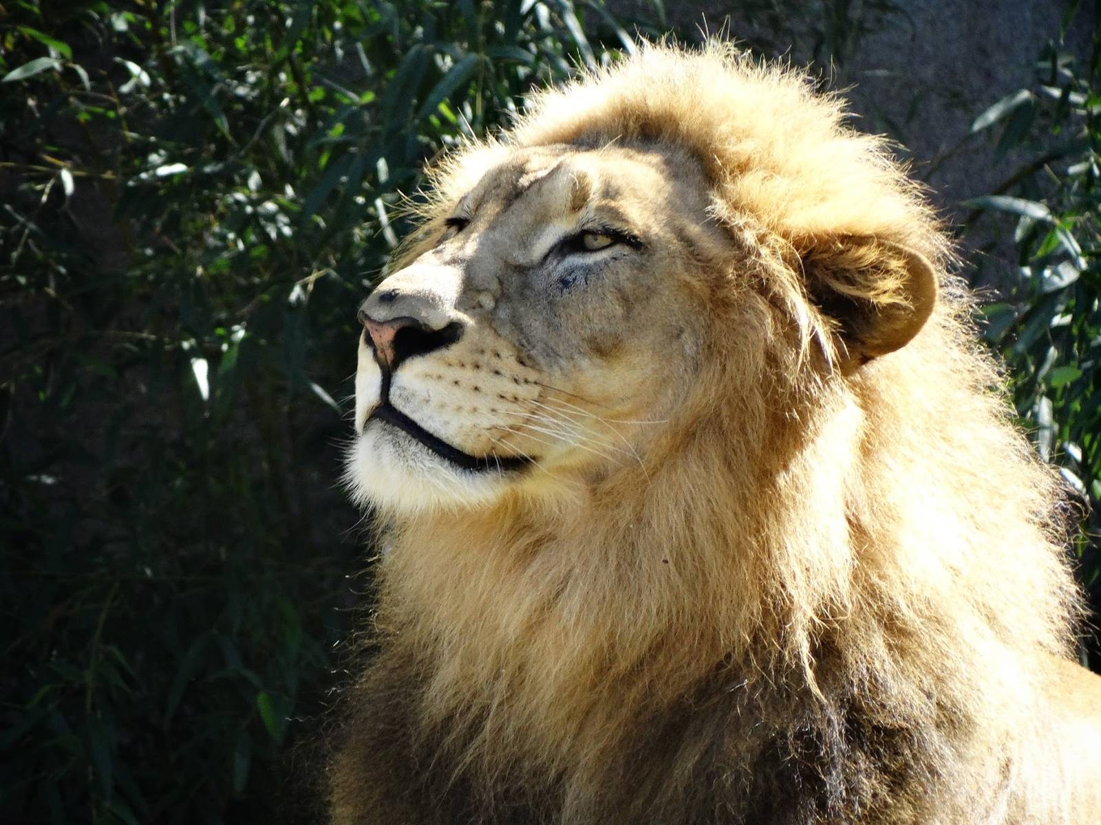 Oct. 2015 - Africa - John