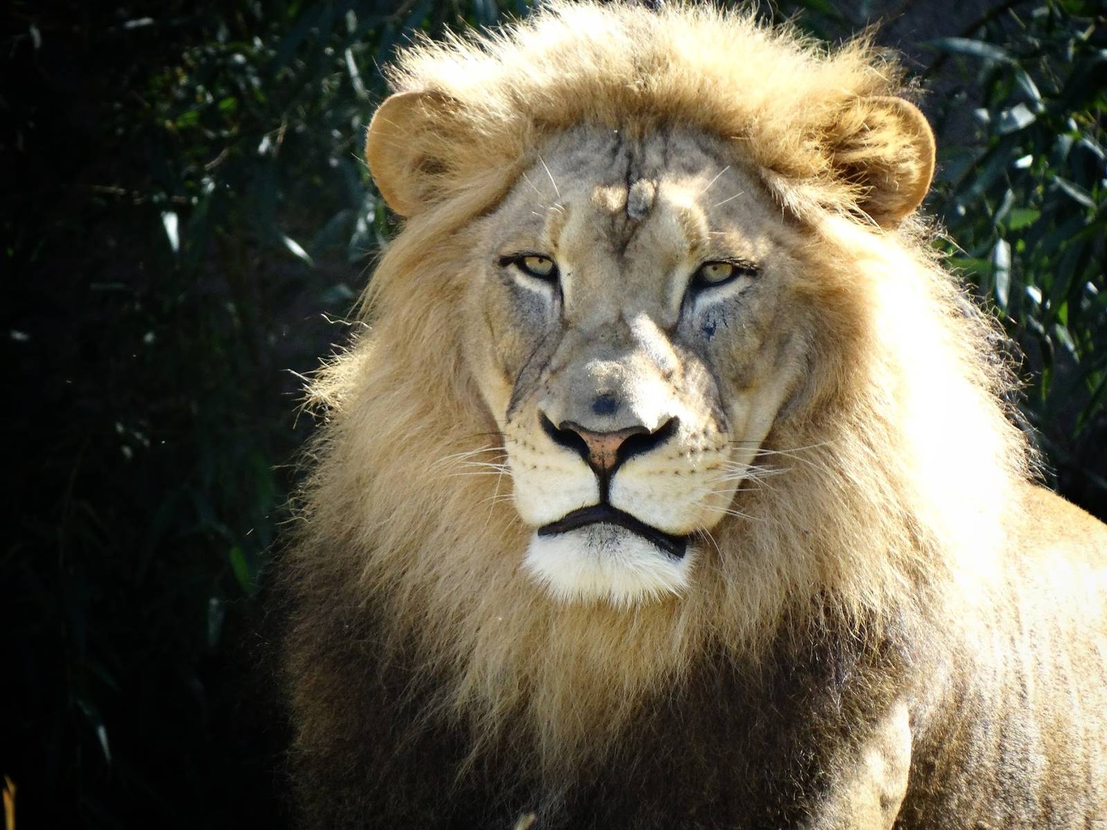 Oct. 2015 - Africa - John