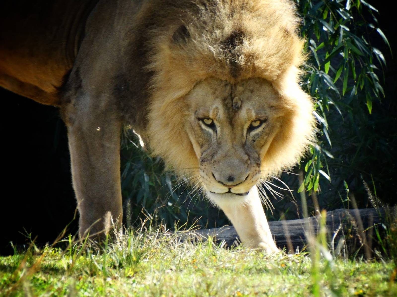 Oct. 2015 - Africa - John