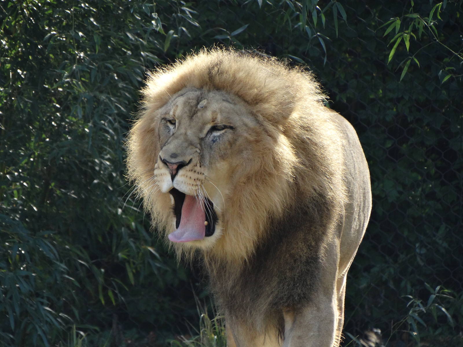 Oct. 2015 - Africa - John