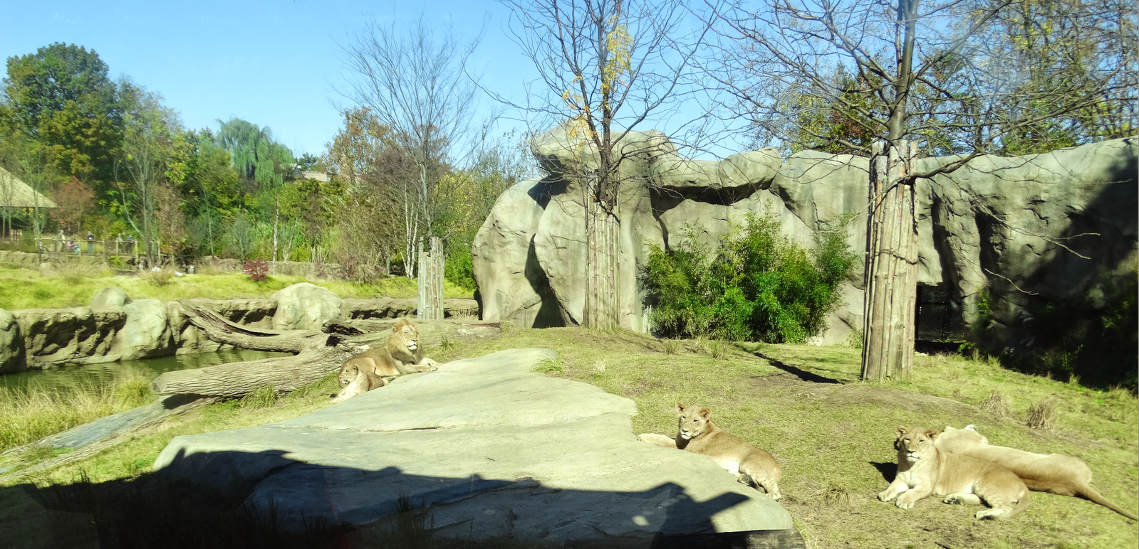 Oct. 2015 - Africa - The Family