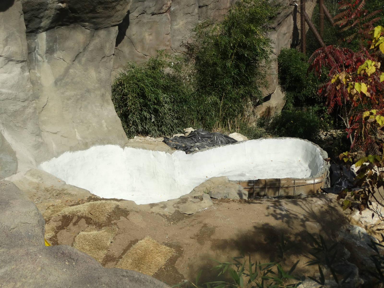 Oct. 2015 - Cat Canyon - Pool Extension Construction (First Tiger Exhibit)