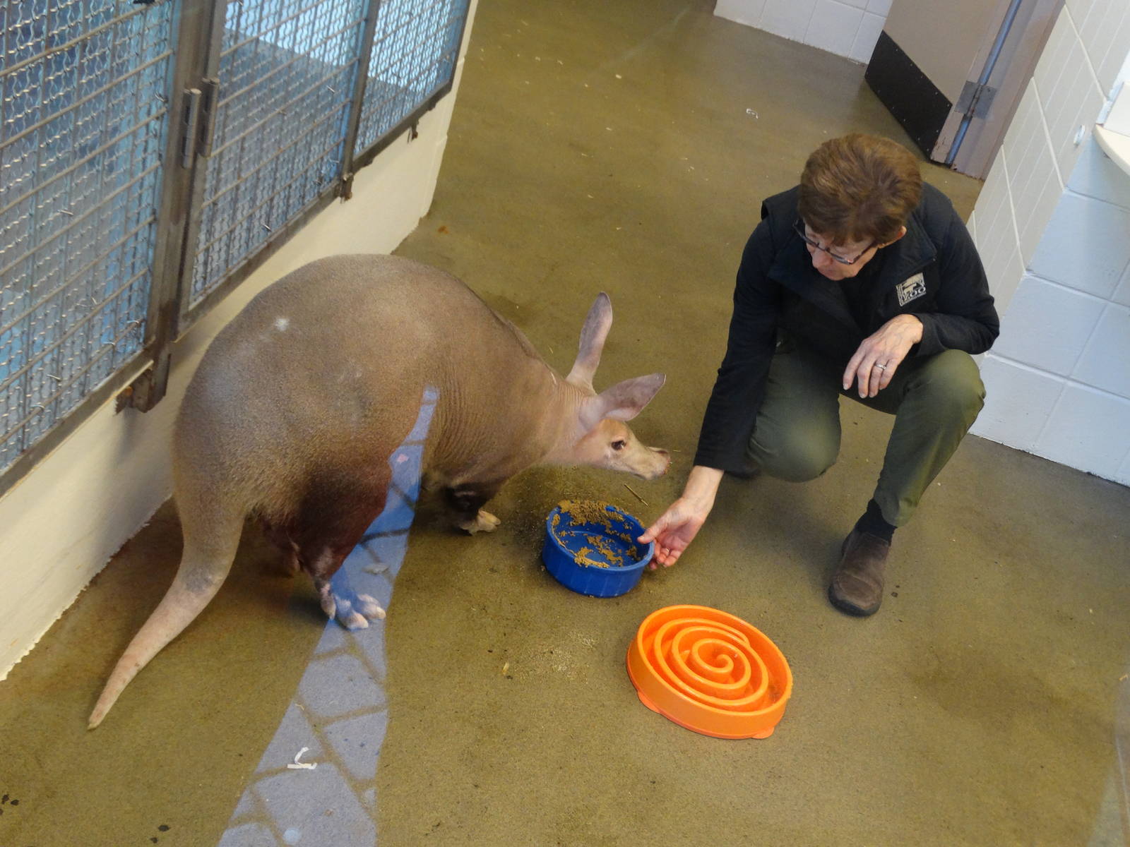 Oct. 2015 - Children's Zoo - Ali Interaction