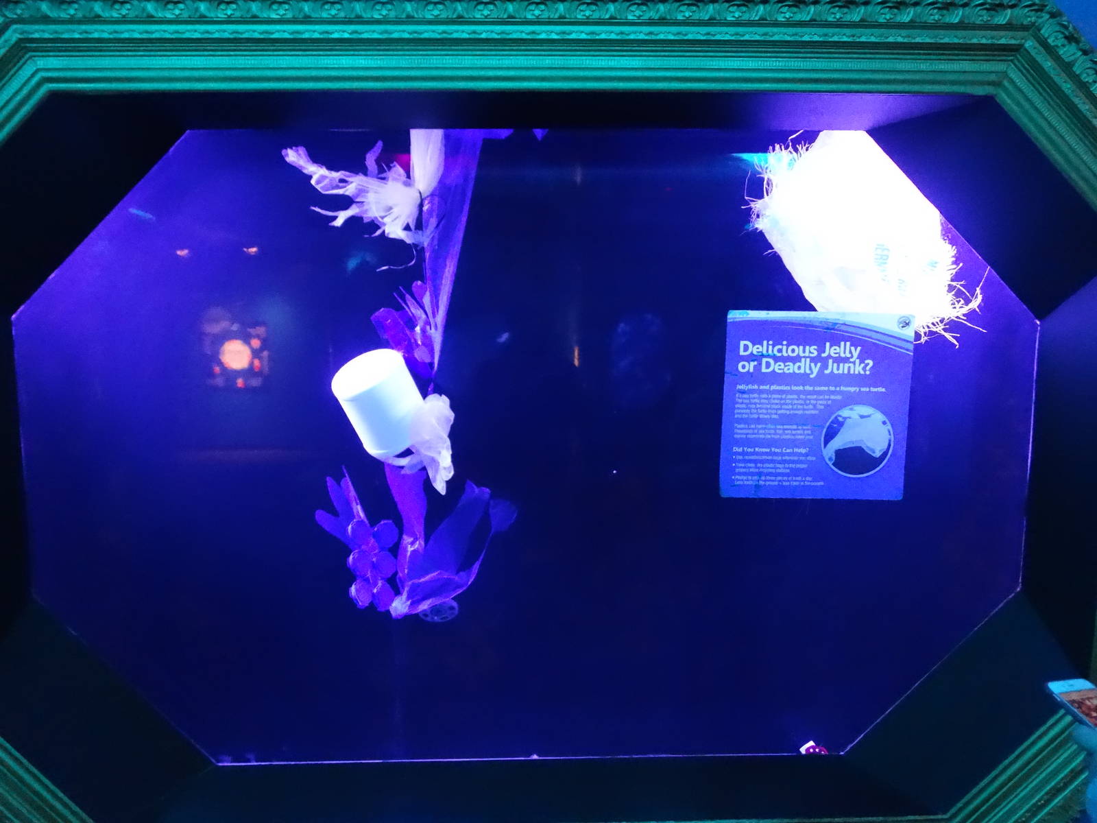 Oct. 2015 - Jellyfish Gallery - Trash Bag Exhibit