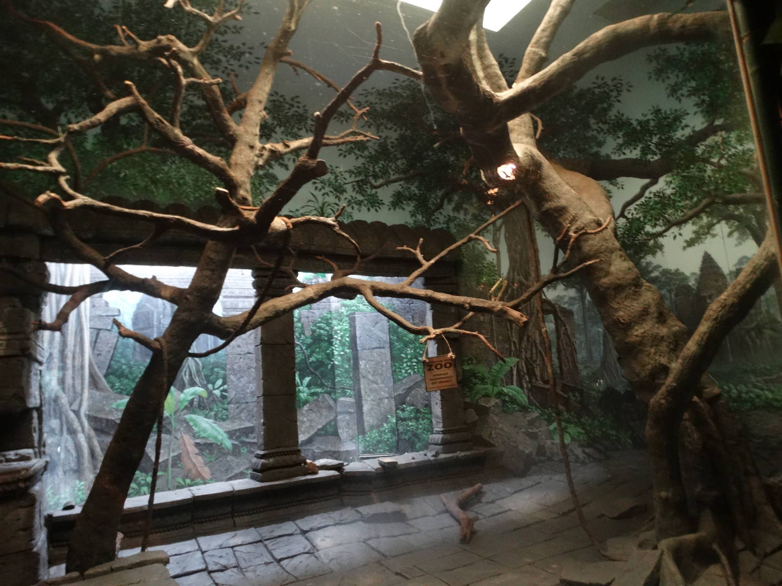 Oct. 2015 - Jungle Trails - Future Monkey Exhibit
