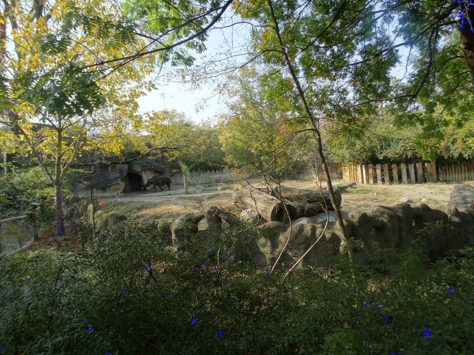 Oct. 2015 - Rhino Reserve - Black Rhino Exhibit