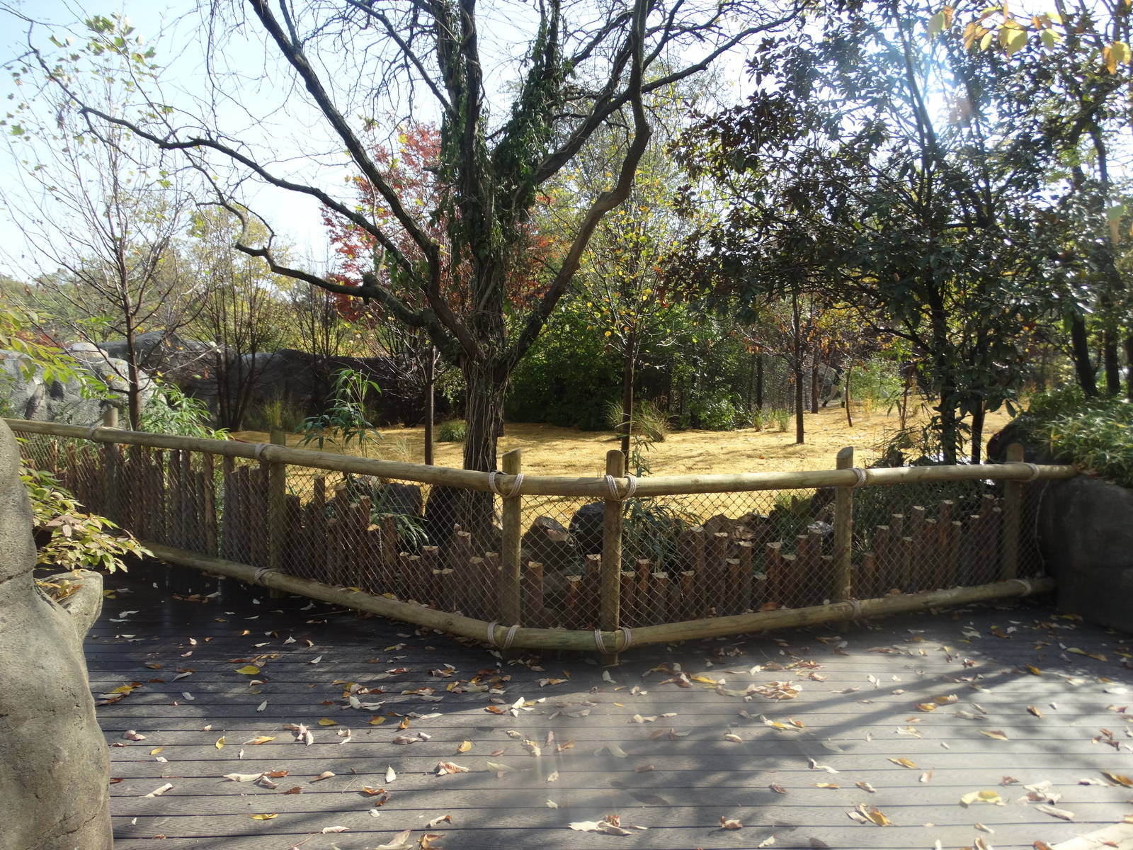 Oct. 2015 - Rhino Reserve - New Okapi Yard Entension + Viewing