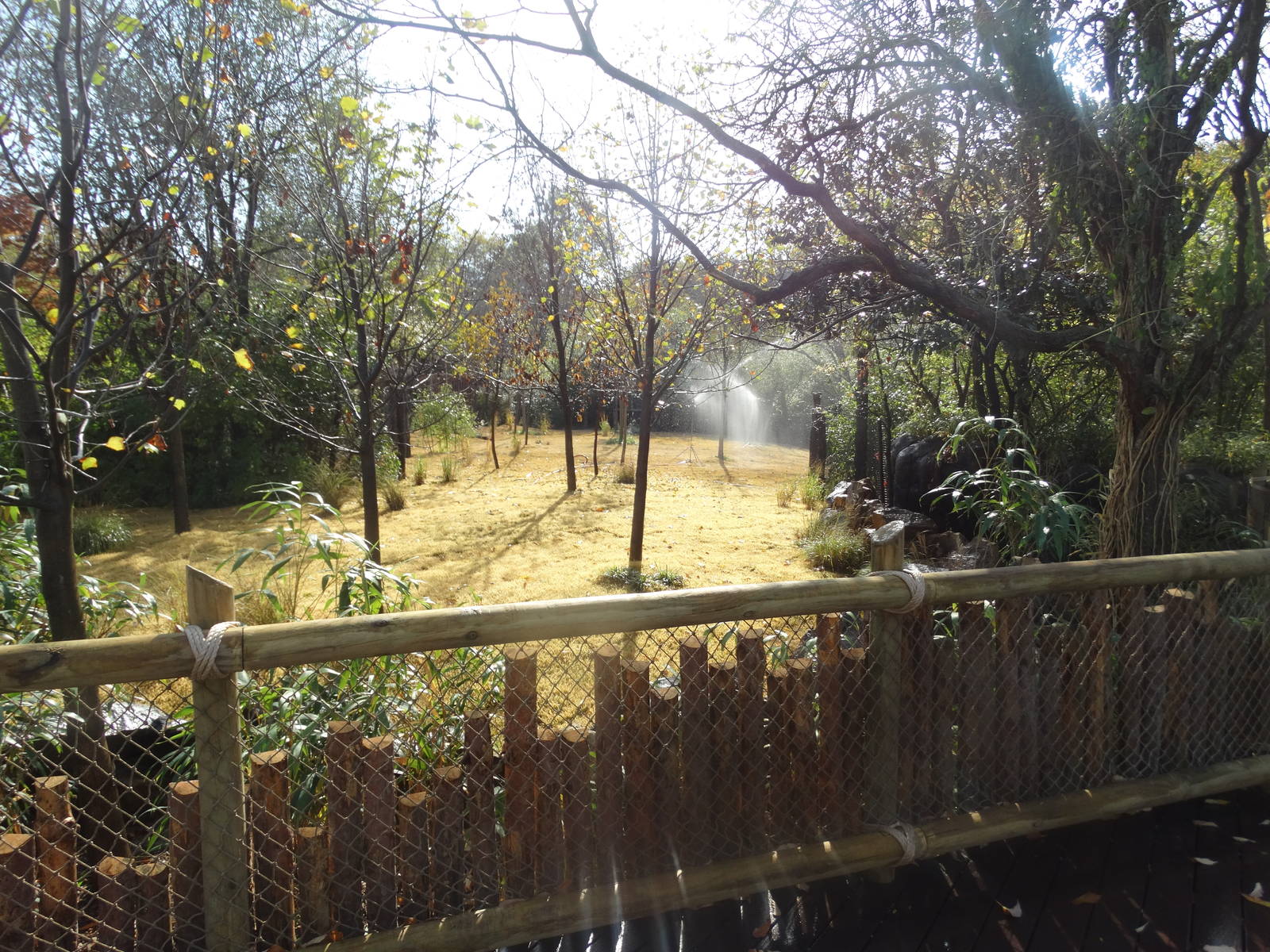 Oct. 2015 - Rhino Reserve - New Okapi Yard Extension