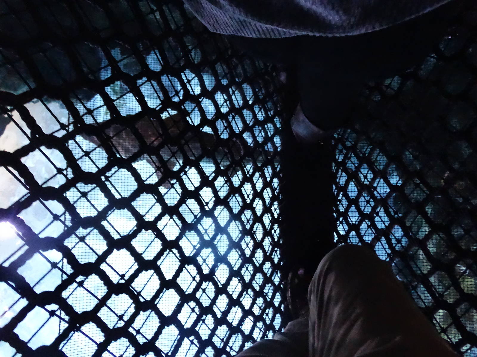 Oct. 2015 - Shark Bridge (Sandtiger Underneath)