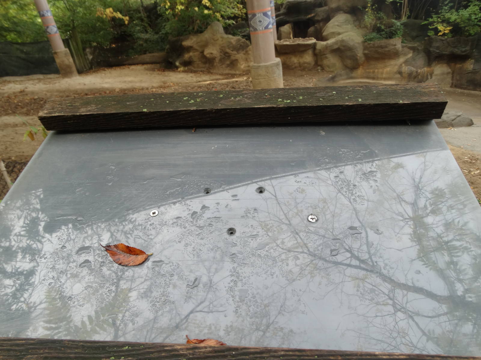 Oct. 2015 - Wildlife Canyon - Gone...