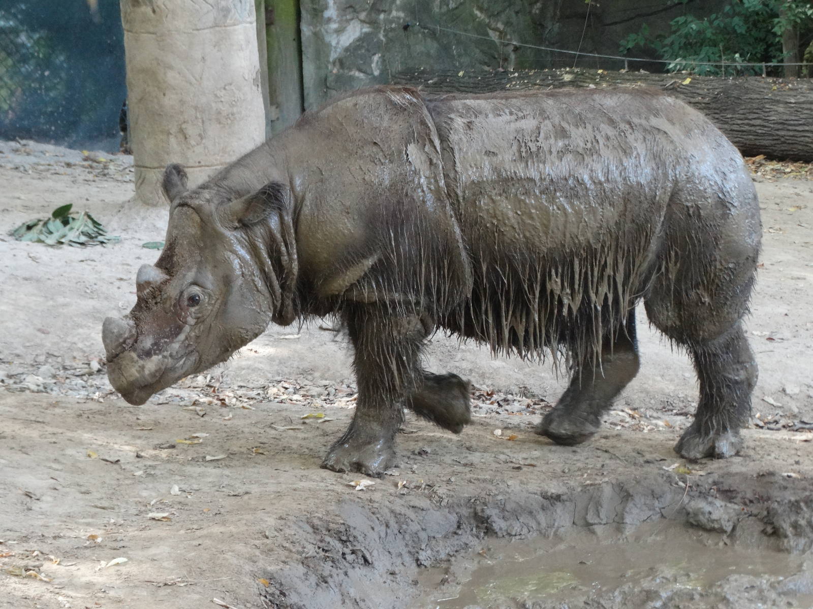 Oct. 2015 - Wildlife Canyon - Harapan