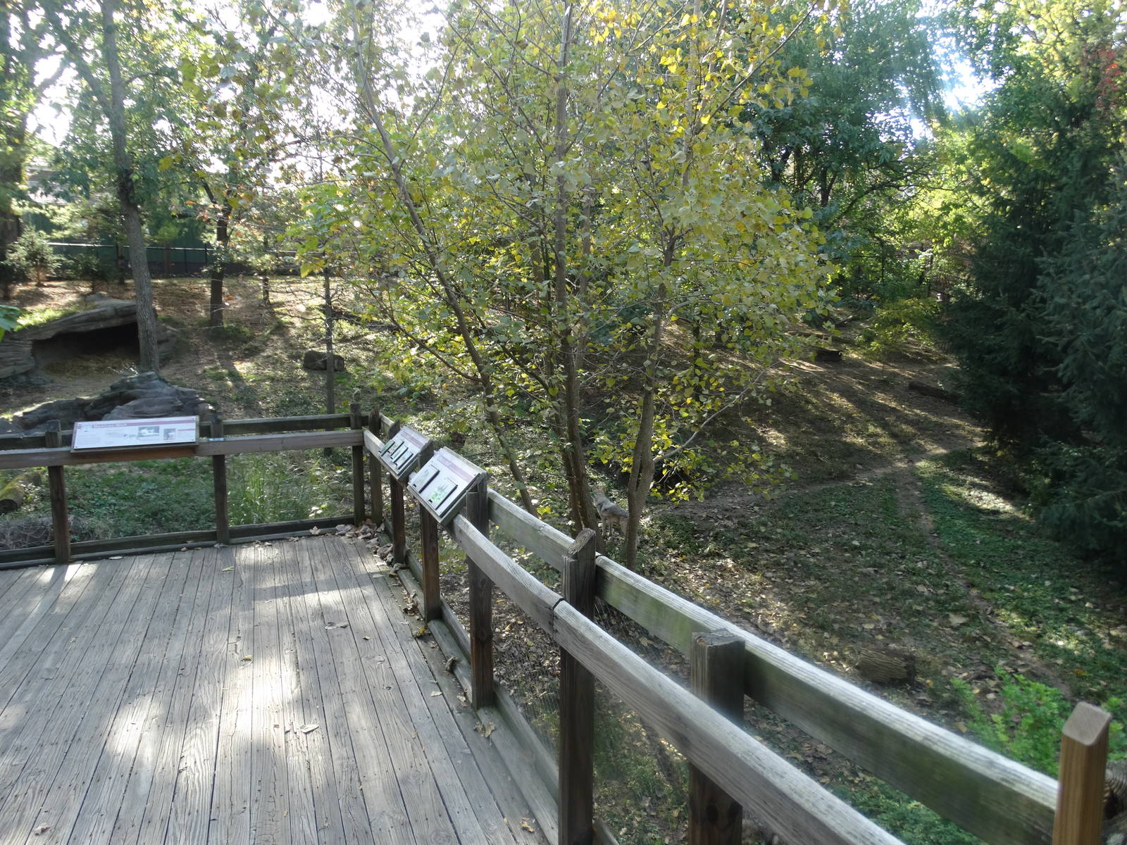 Oct. 2015 - Wolf Woods - Mexican Wolf Exhibit