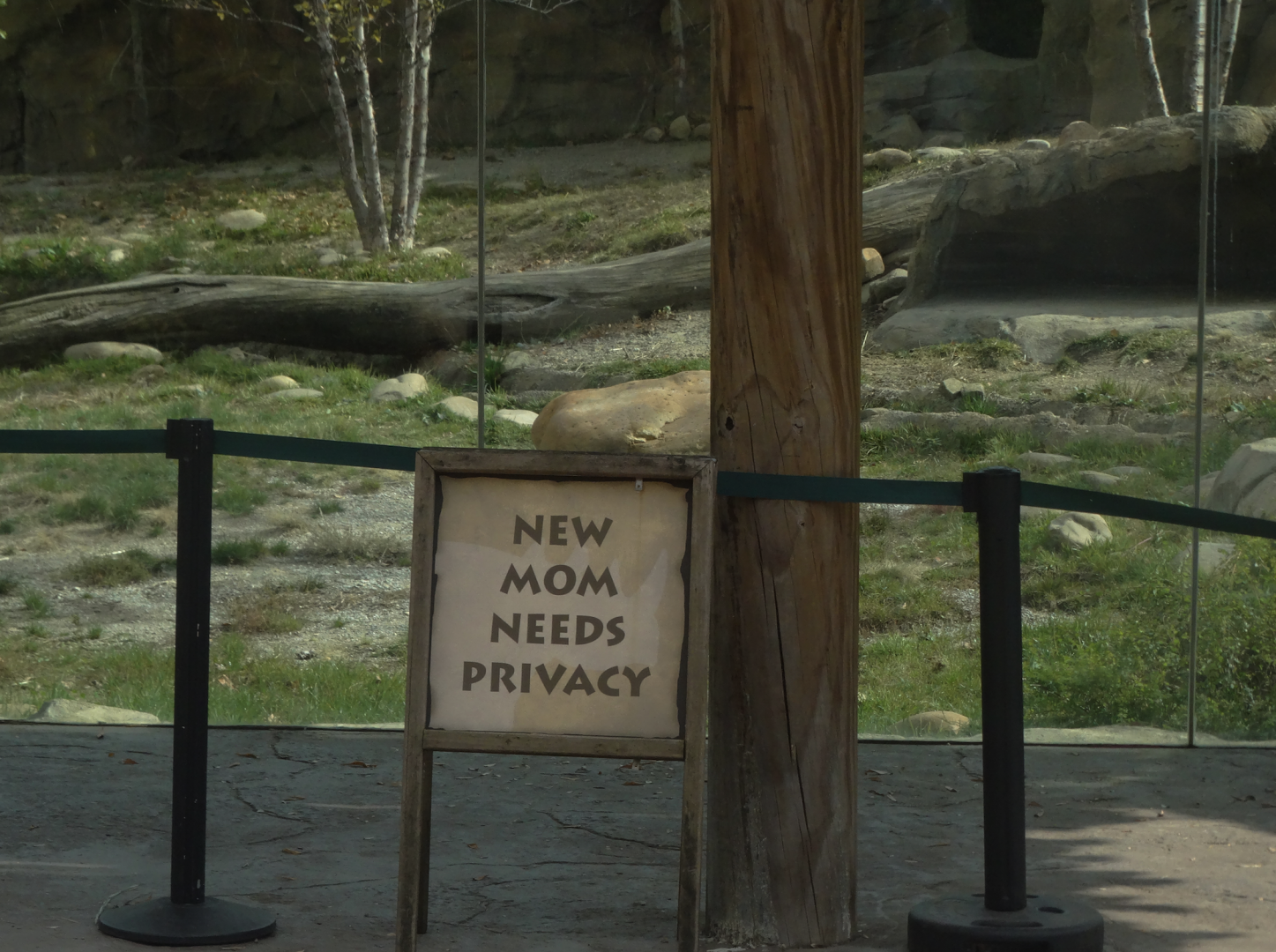 Oct. 2016 - Africa - New Mom Needs Privacy