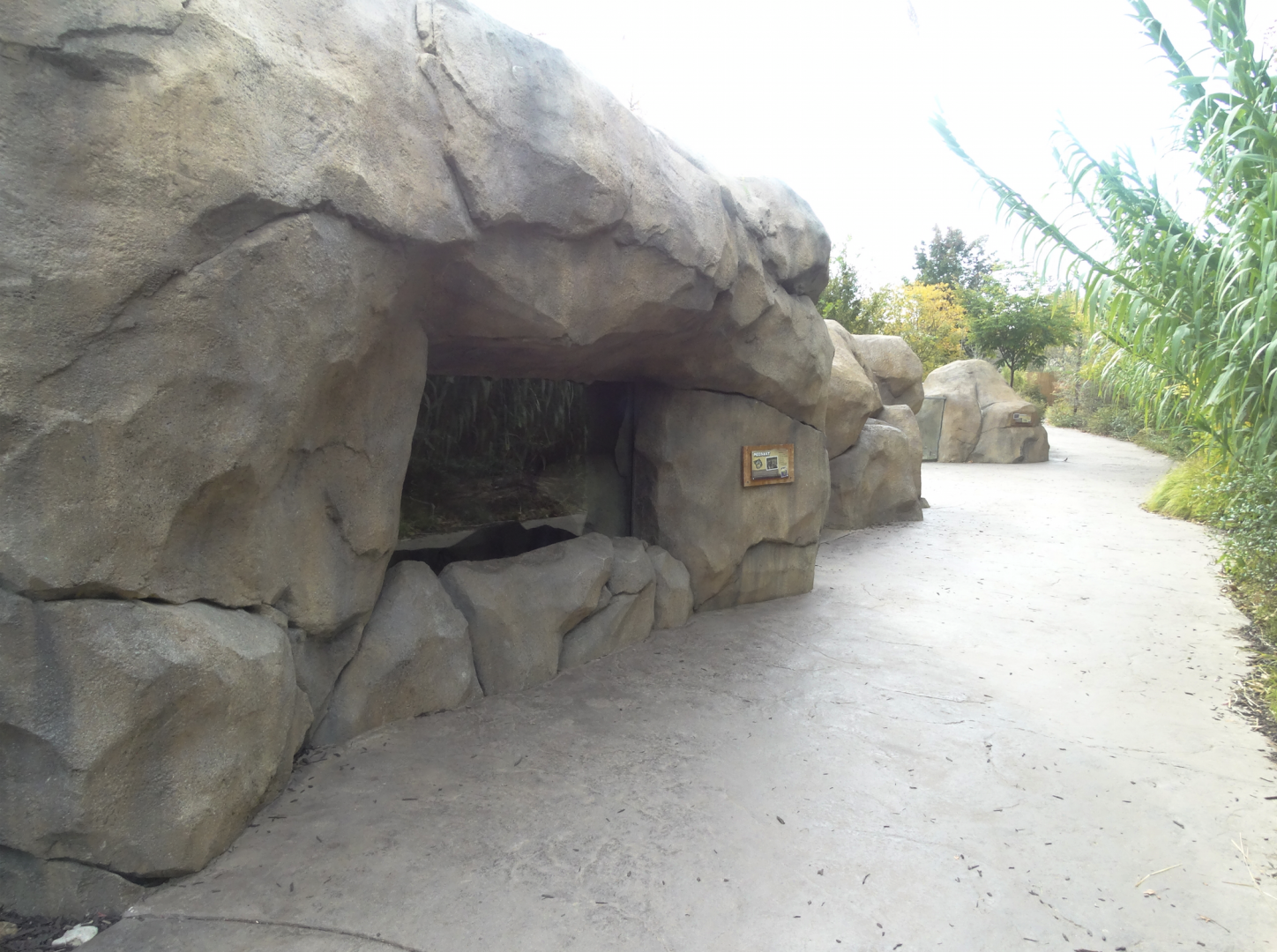 Oct. 2016 - Africa - Right Side of Meerkat Exhibit