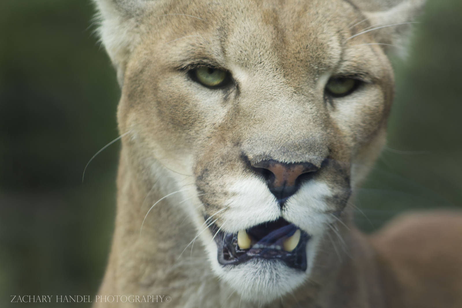 Oct. 2016 - Cat Canyon - Joseph