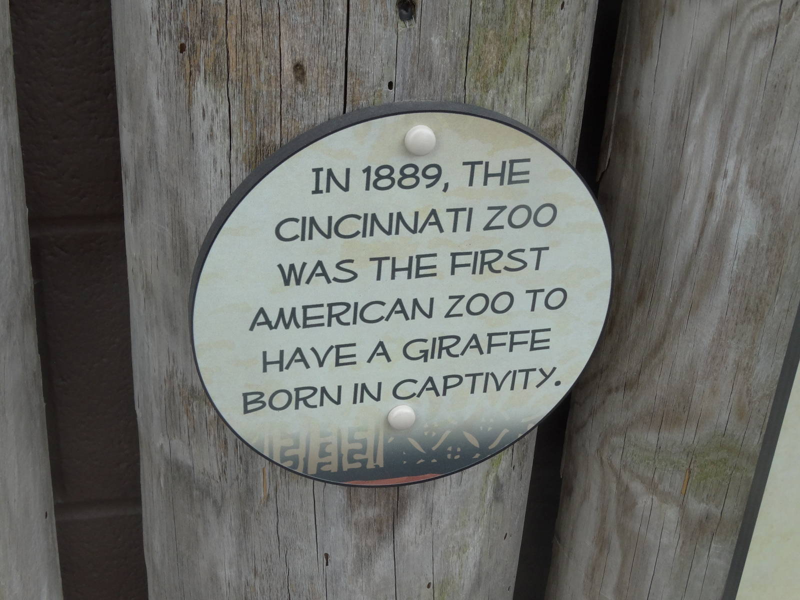 Oct. 2016 - Giraffe Ridge - New Signage